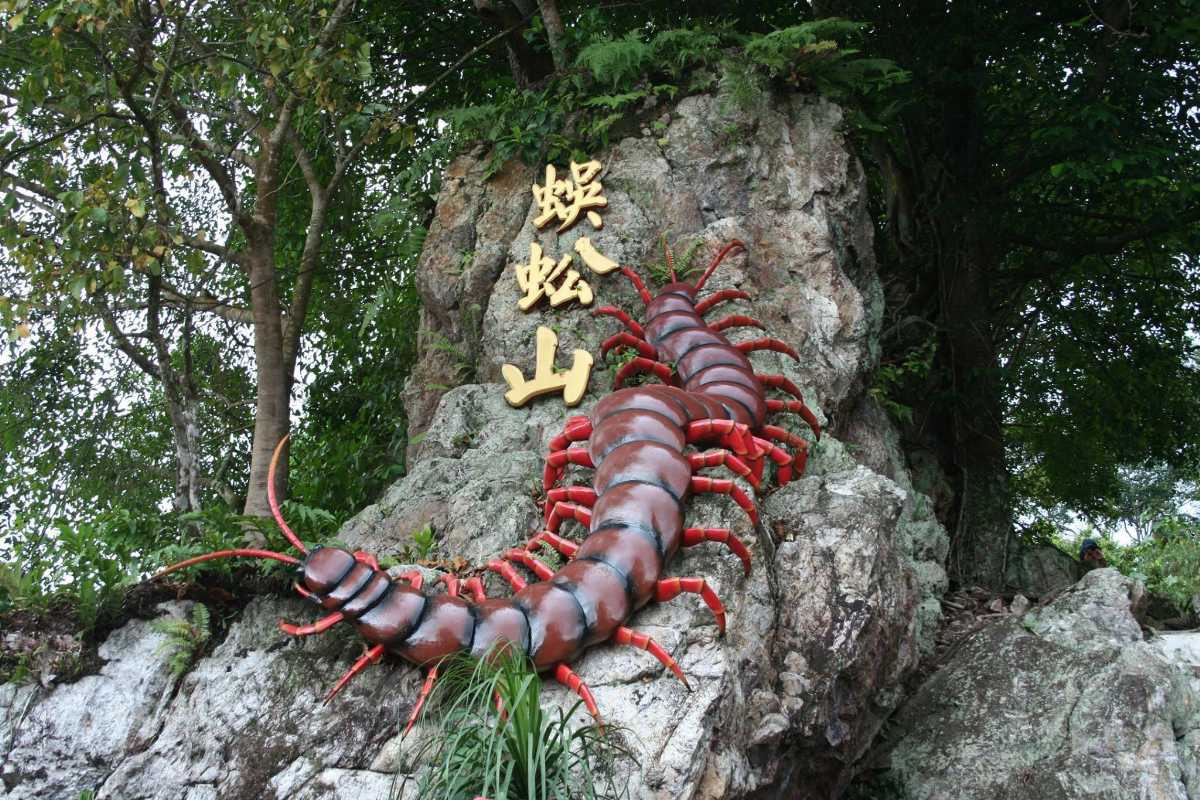 Gambar Centipede Temple (Then Sze Koon)