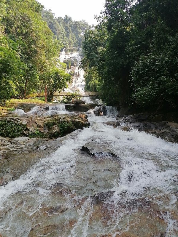 Gambar Taman Eko Rimba Lata Kijang