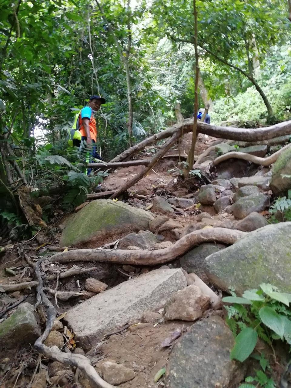 Gambar Gunung Datuk Recreational Forest