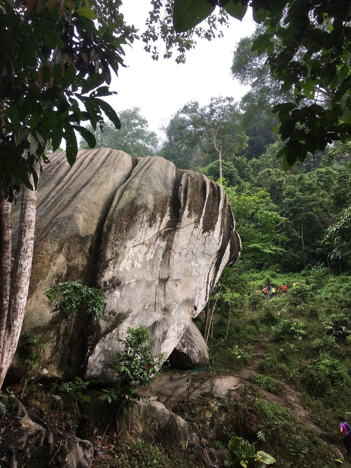 Gambar Bukit Baginda