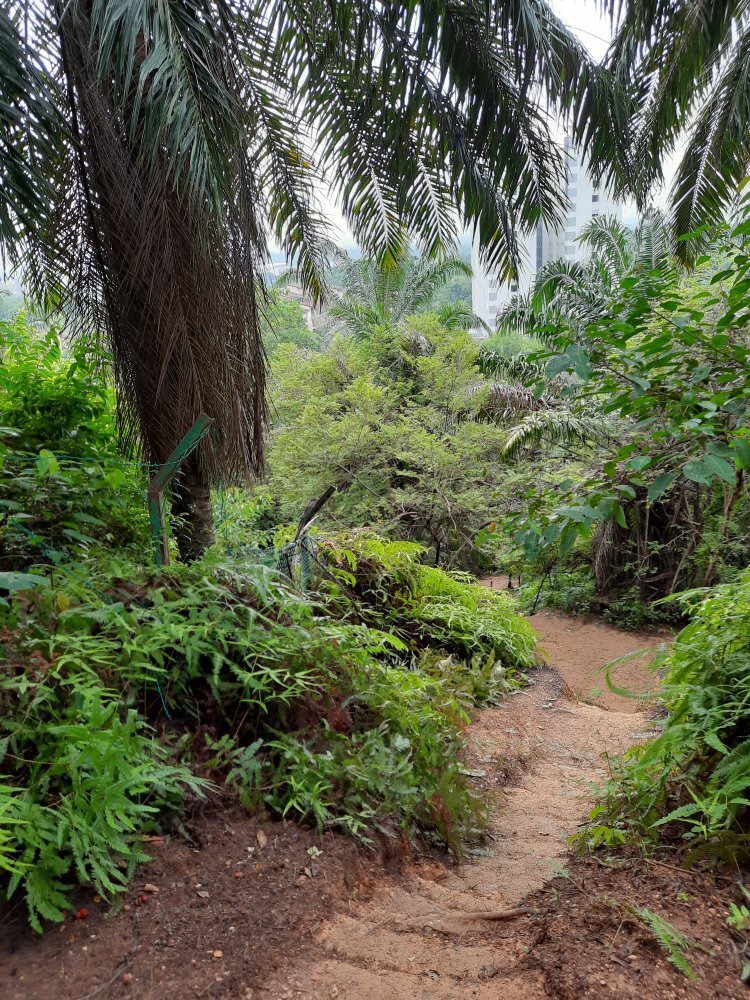 Gambar Bukit Melati Nilai