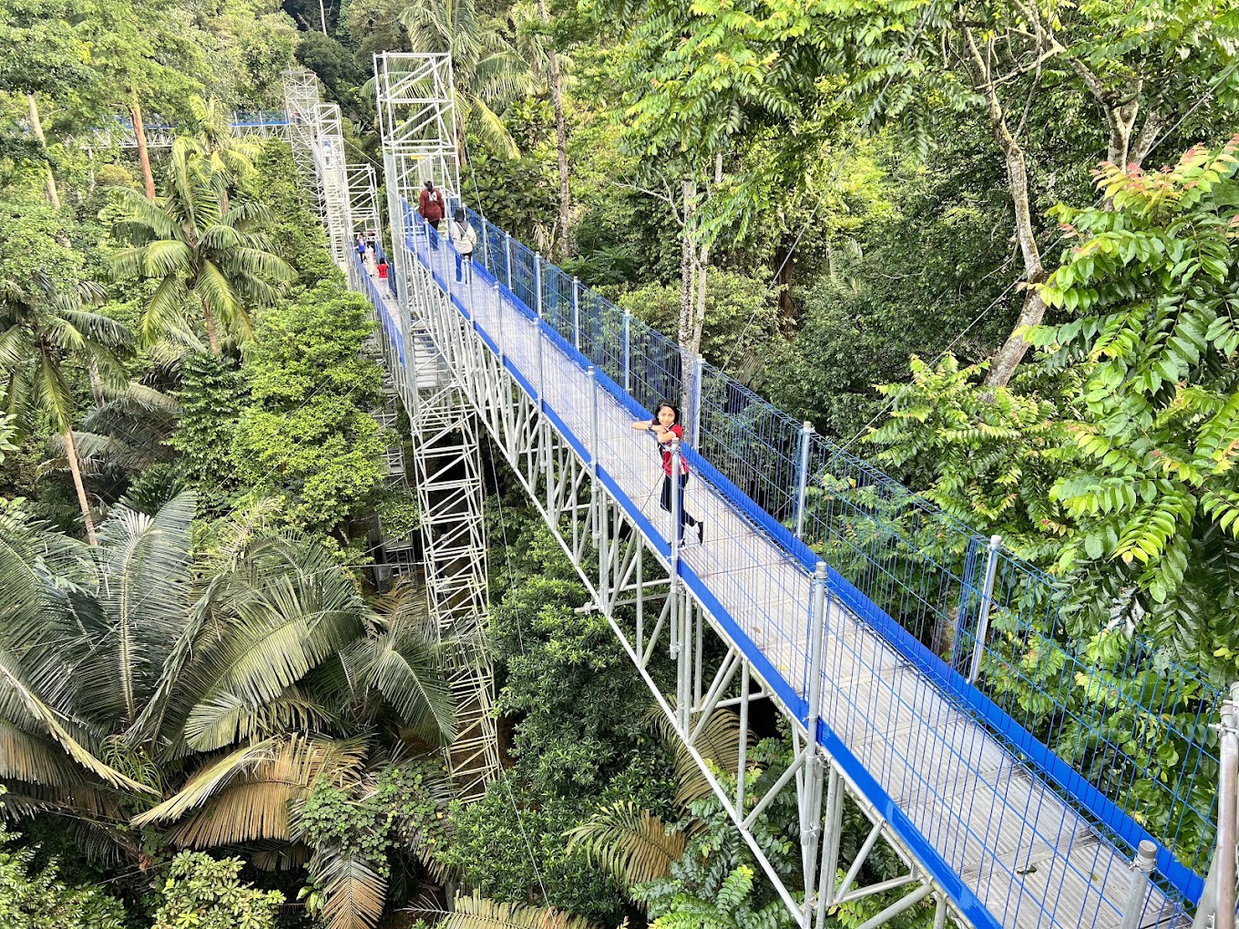 Gambar FRIM Forest Skywalk
