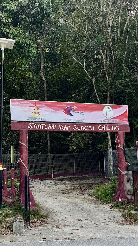 Gambar Santuari Ikan Kelah Sungai Chiling