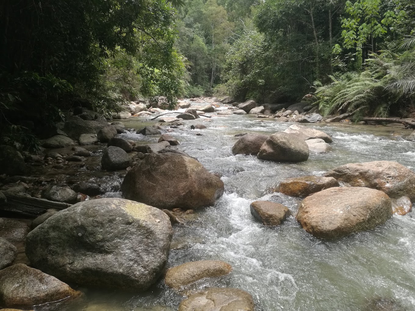 Gambar utama Santuari Ikan Kelah Sungai Chiling