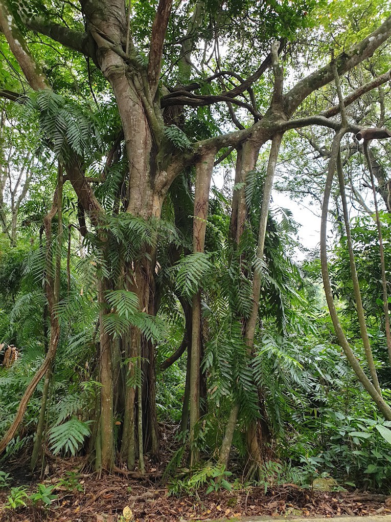 Gambar utama Taman Alam Kuala Selangor