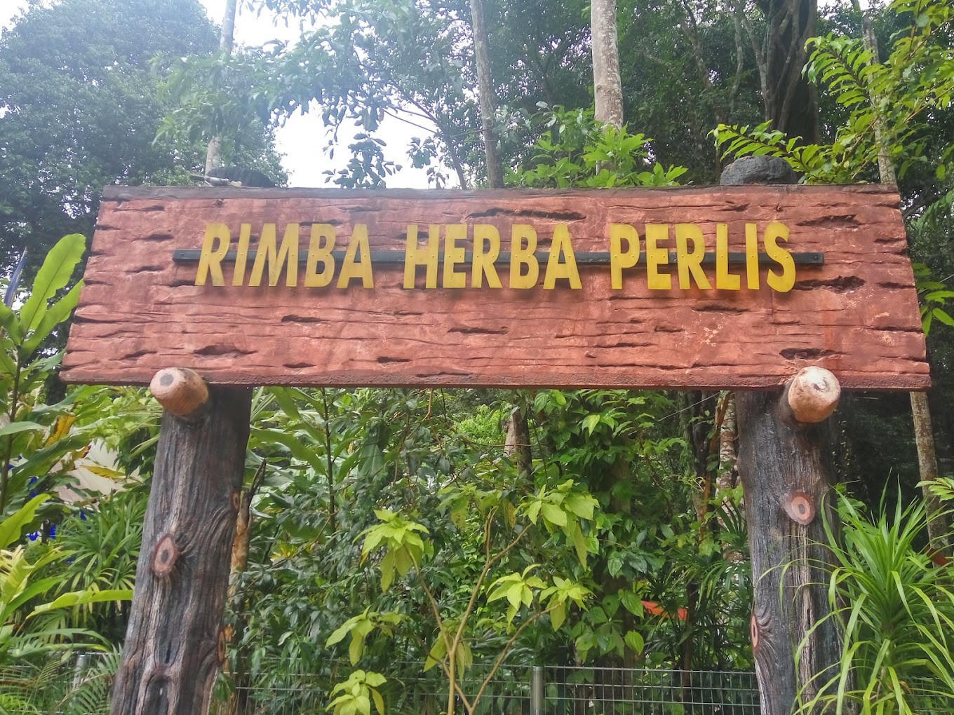 Gambar utama Rimba Herba Perlis