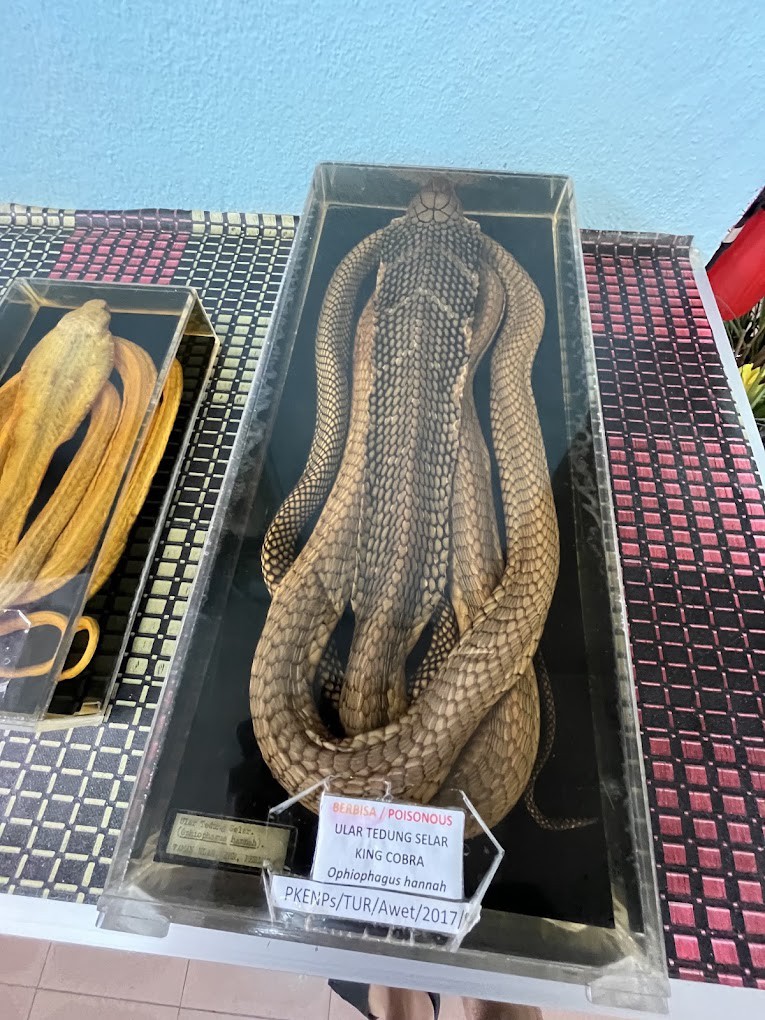 Gambar utama Taman Ular dan Reptilia Negeri Perlis