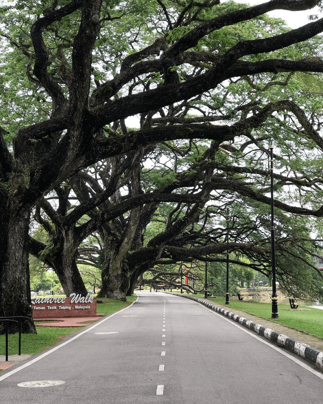 Gambar Taman Tasik Taiping