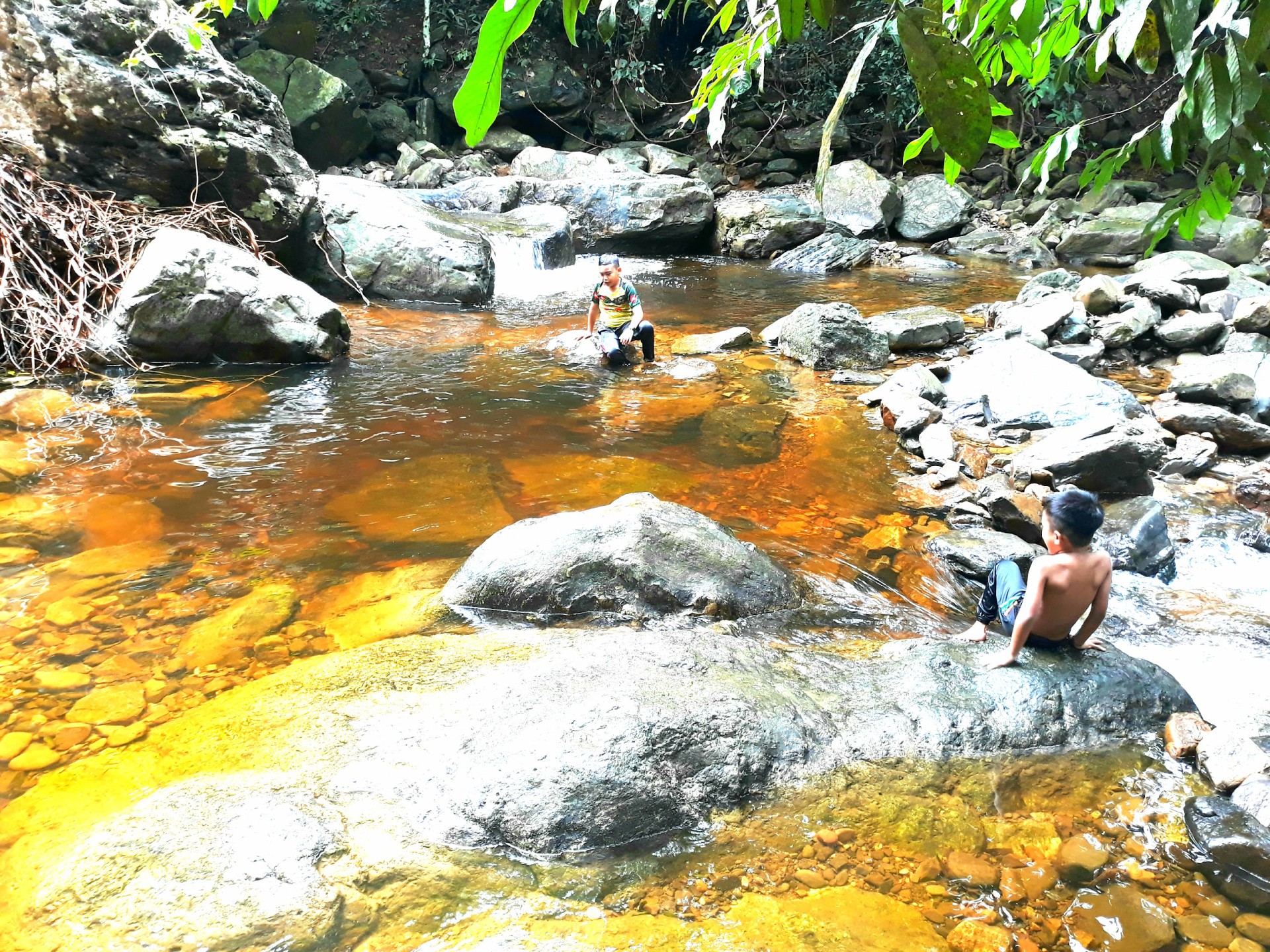 Taman Eko Rimba Titi Hayun — Sorotan tempat
