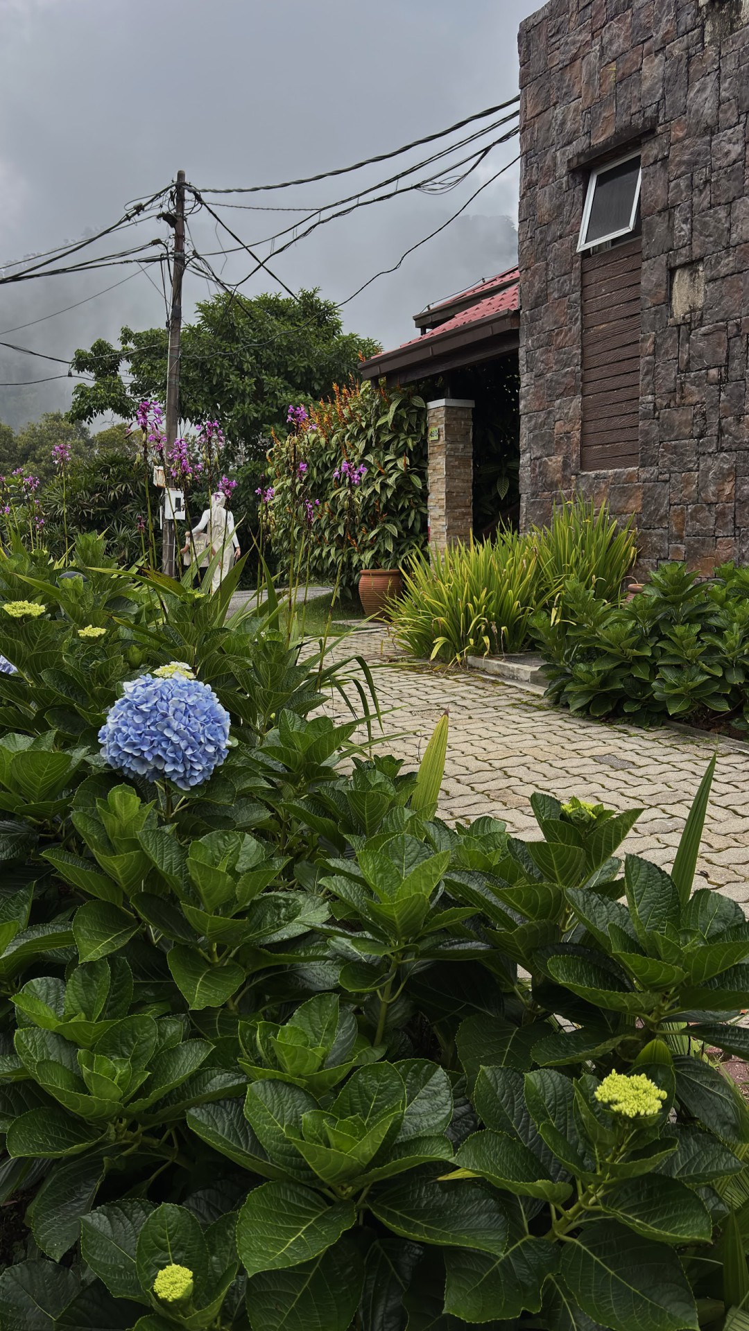 The Jerai Hill Resort — Sorotan tempat