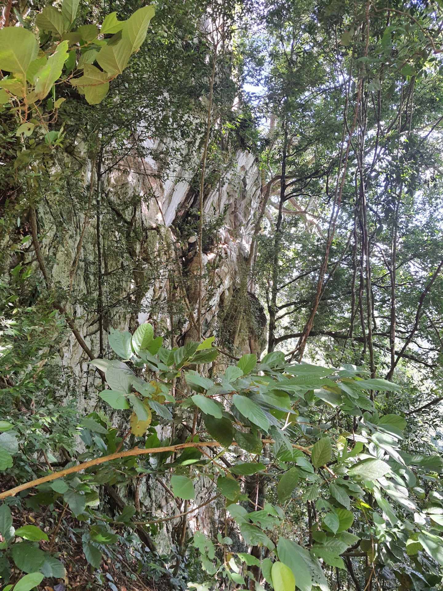 Gunung Baling — Sudut tambahan 2