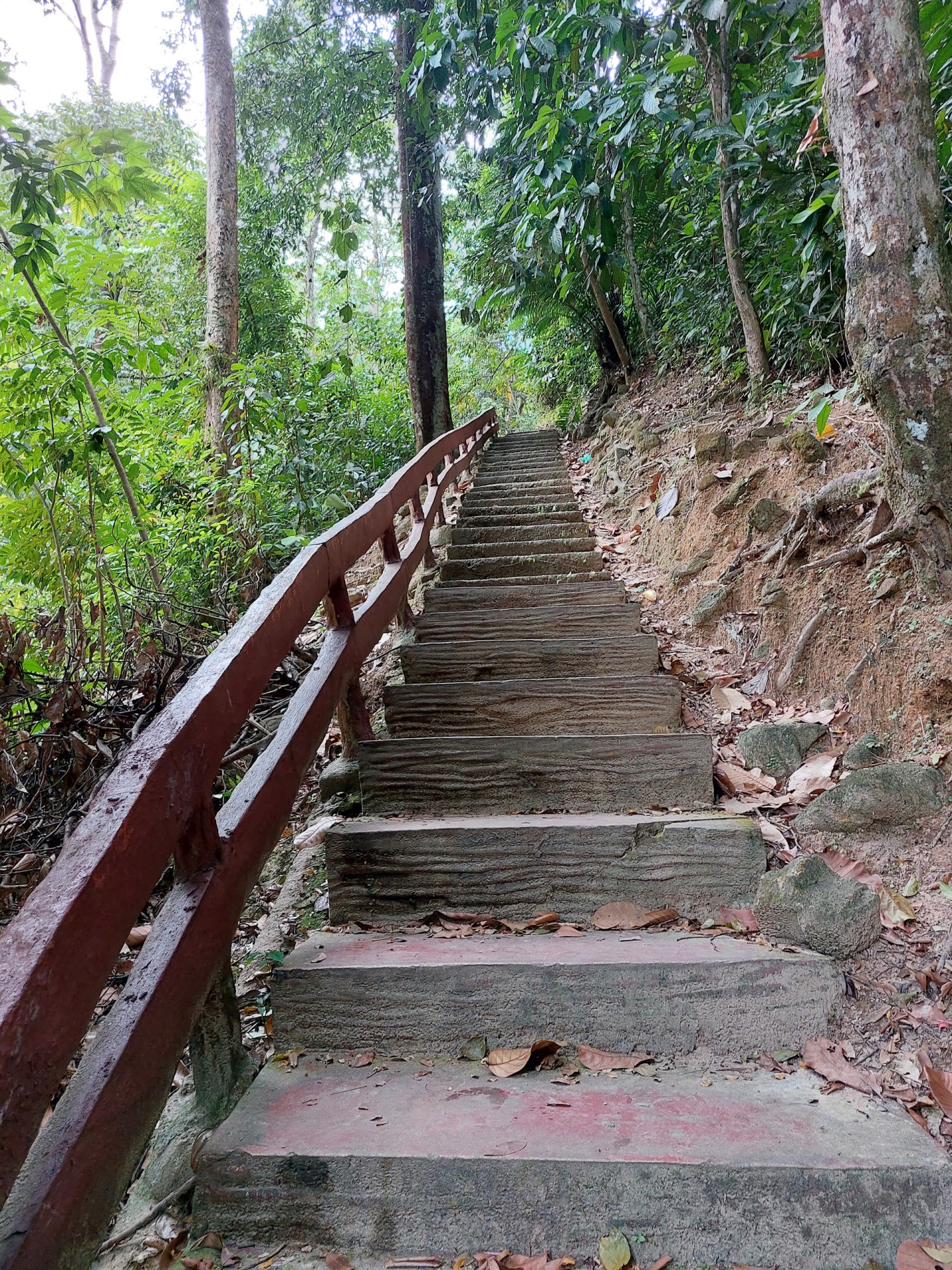 Taman Eko Rimba Lata Bayu — Sudut tambahan 2