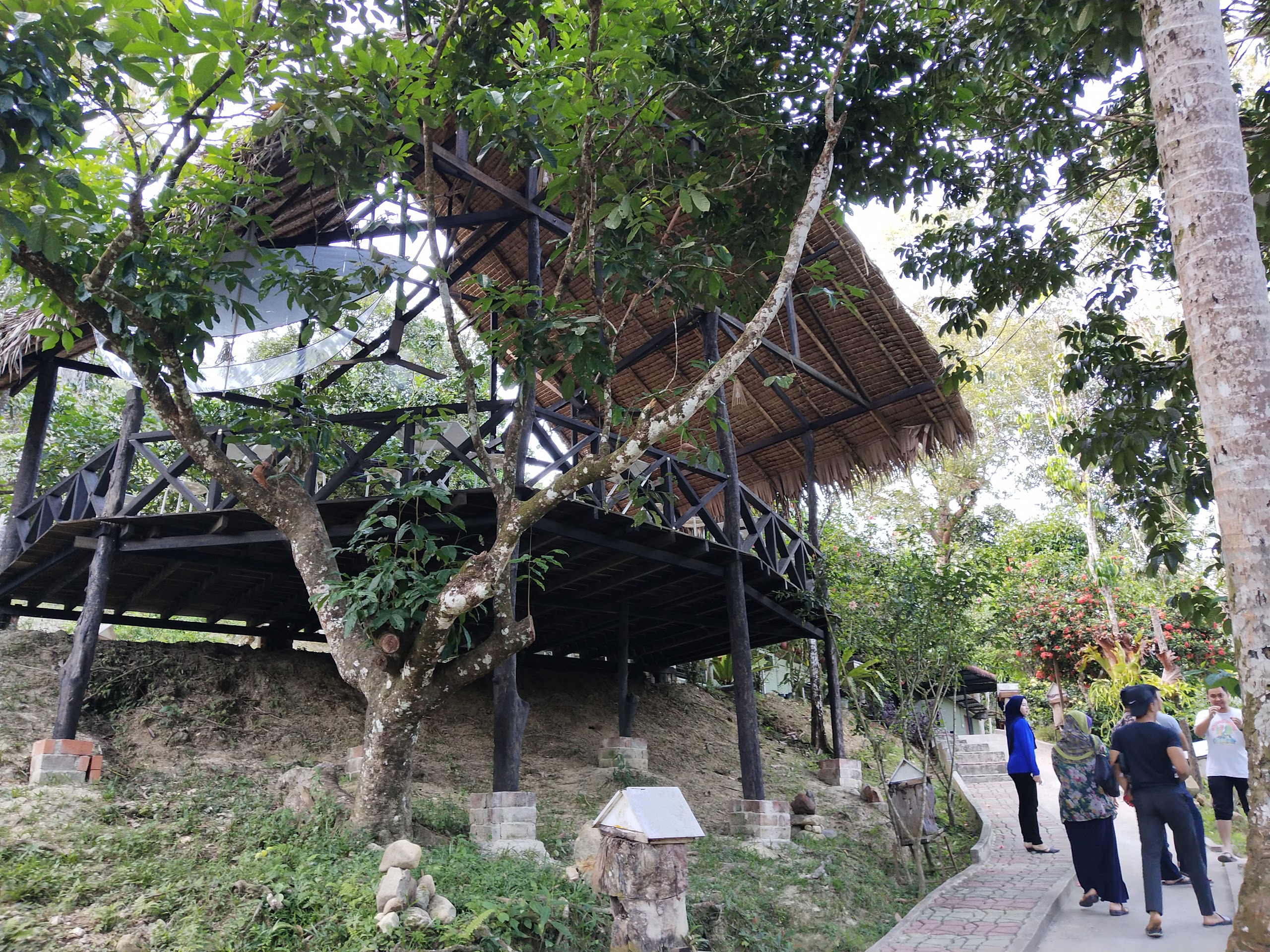 Gambar Ladang Kelulut Desa Lestari Ulu Legong