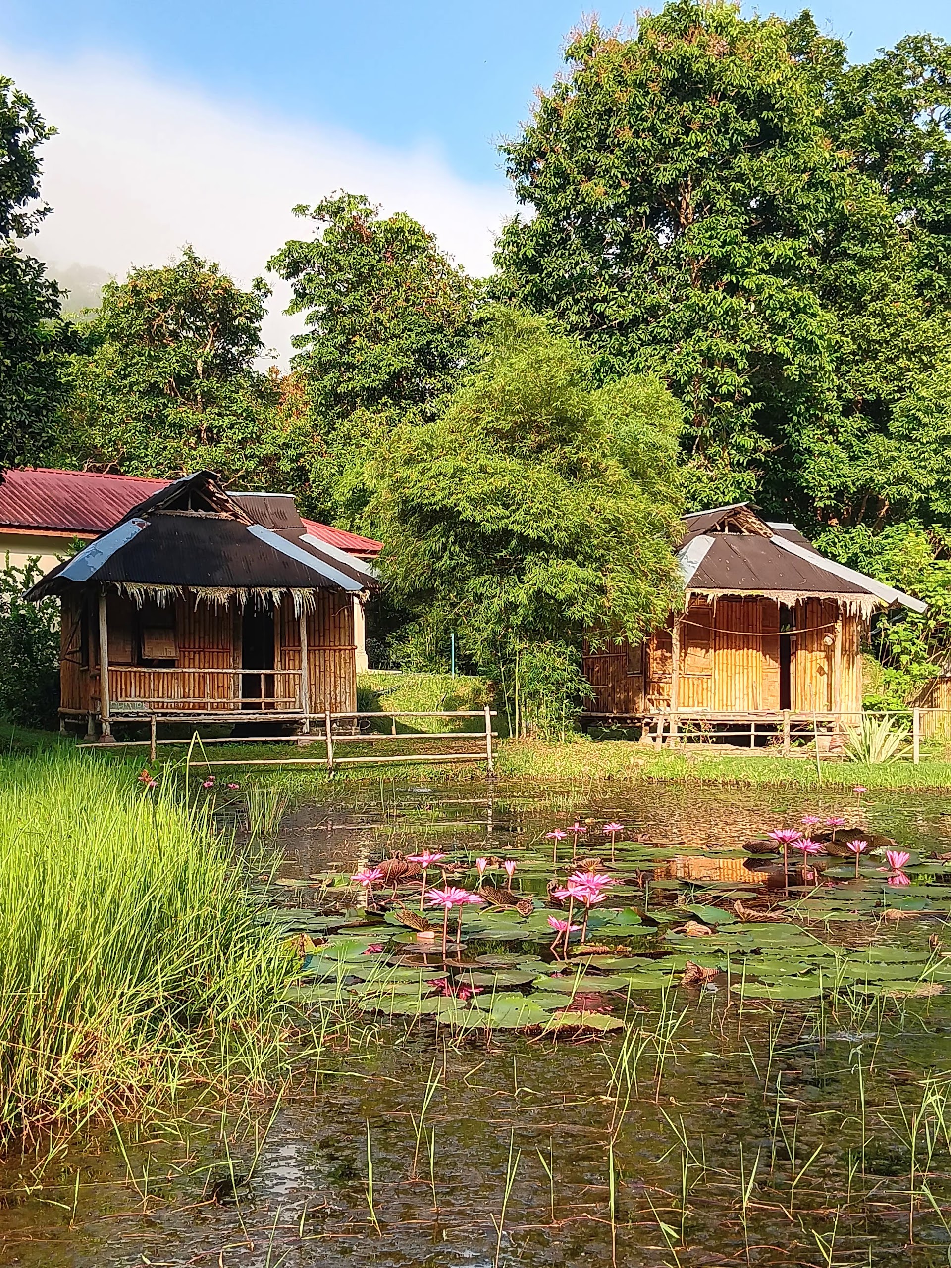 Gambar Sri Lovely Organic Farm