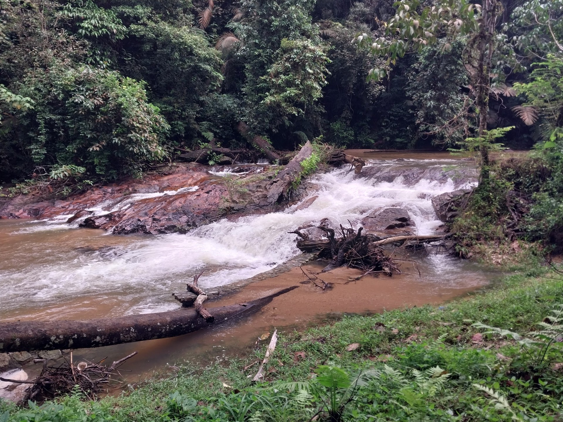 Taman Eko Rimba Ulu Paip — Sorotan tempat