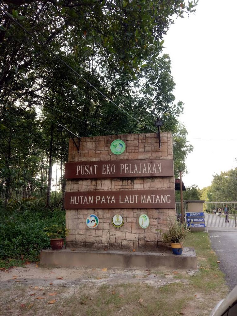 Gambar Taman Eko Pelajaran Hutan Paya Laut Matang