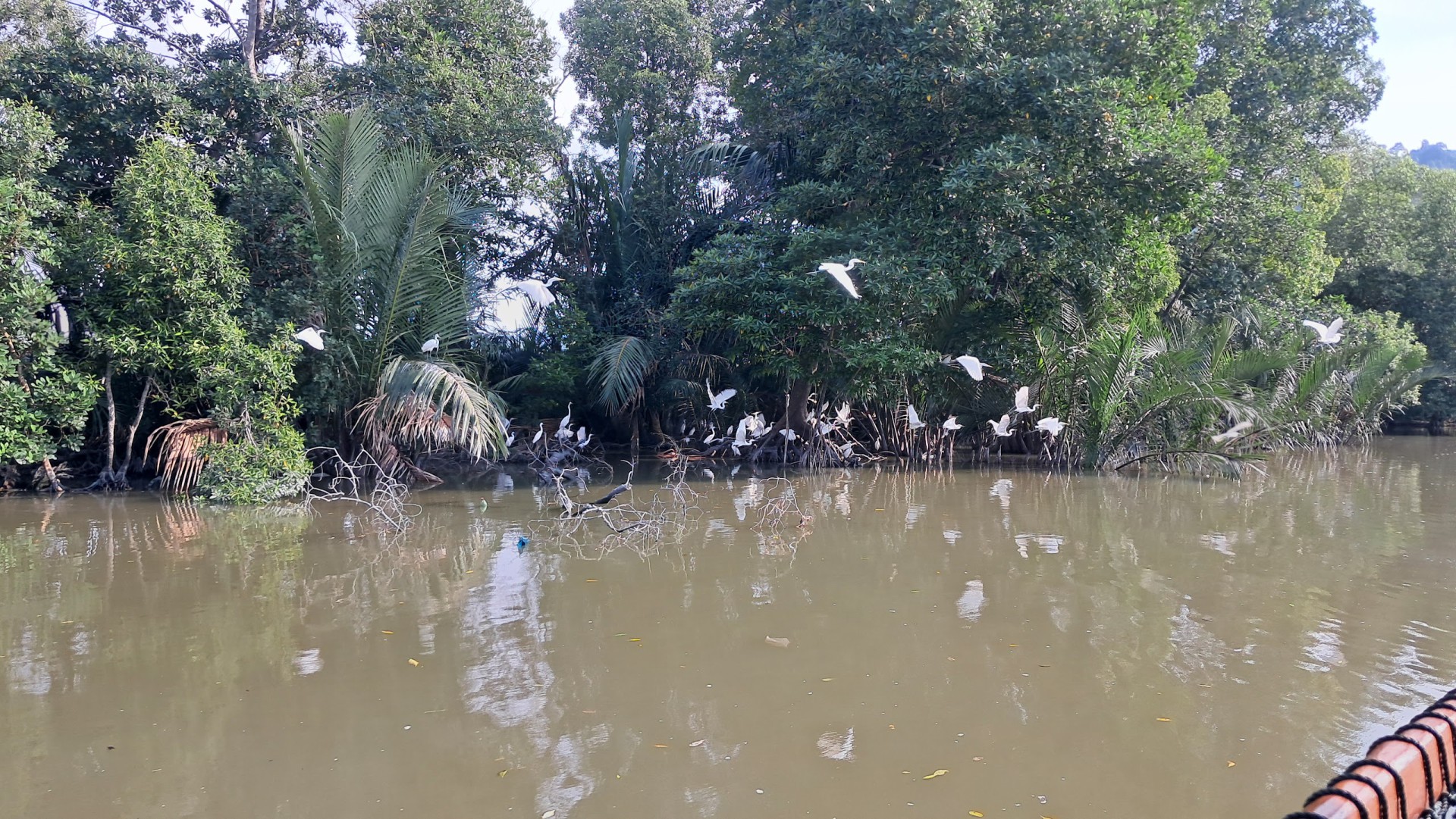 Penang River Cruise — Sorotan tempat