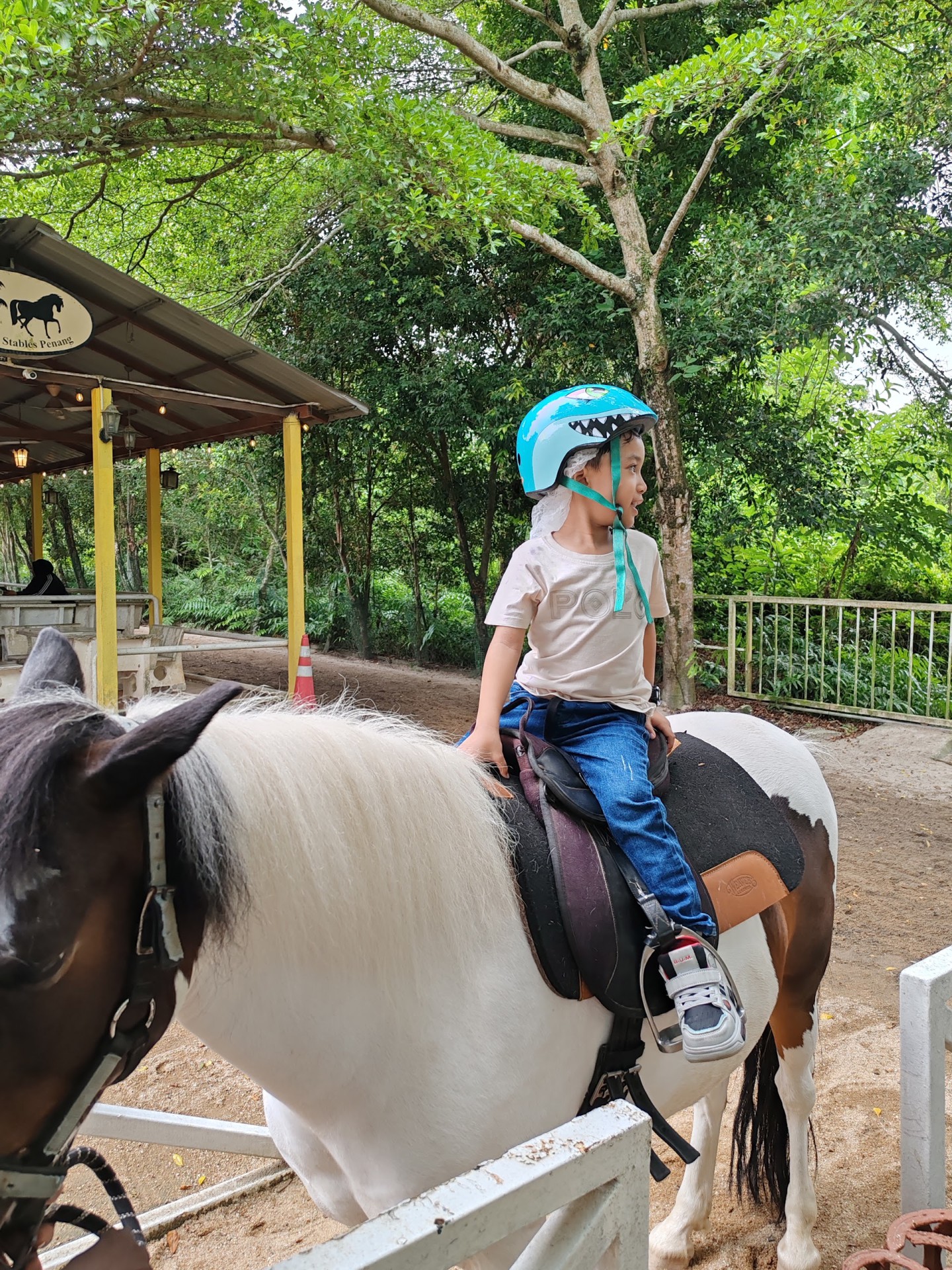 Countryside Stables Penang — Sudut tambahan 1