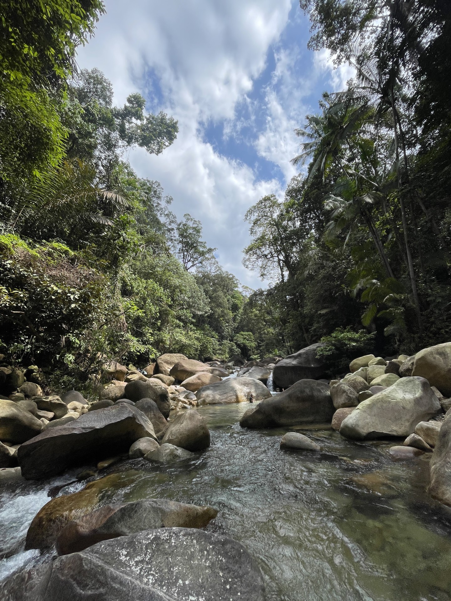 Taman Eko Rimba Lata Payung — Sudut tambahan 2
