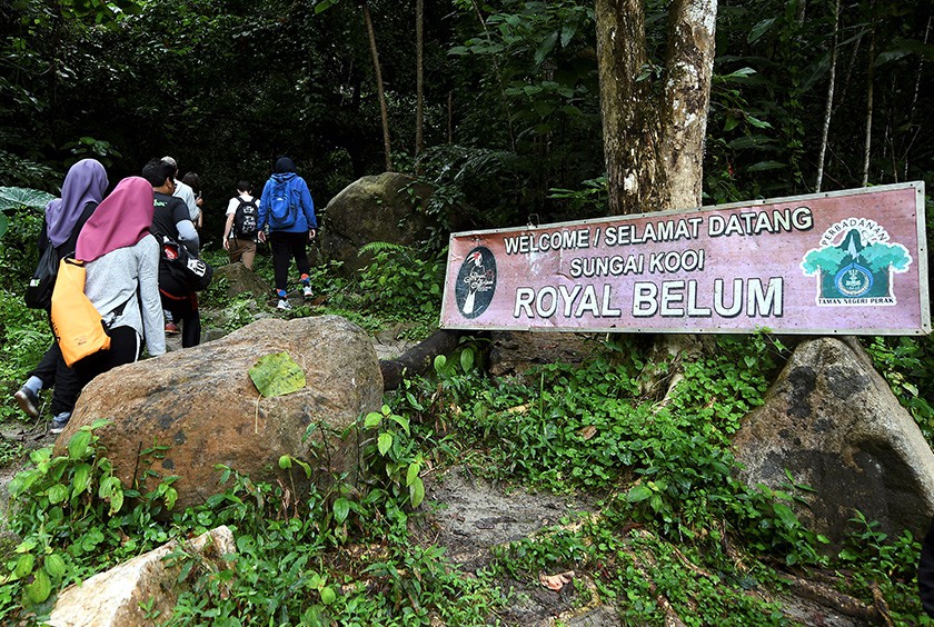Gambar Taman Negeri Royal Belum
