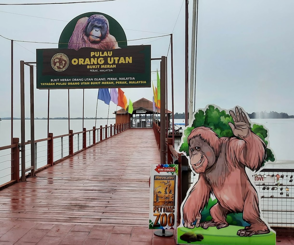 Gambar utama Bukit Merah Orang Utan Island Foundation