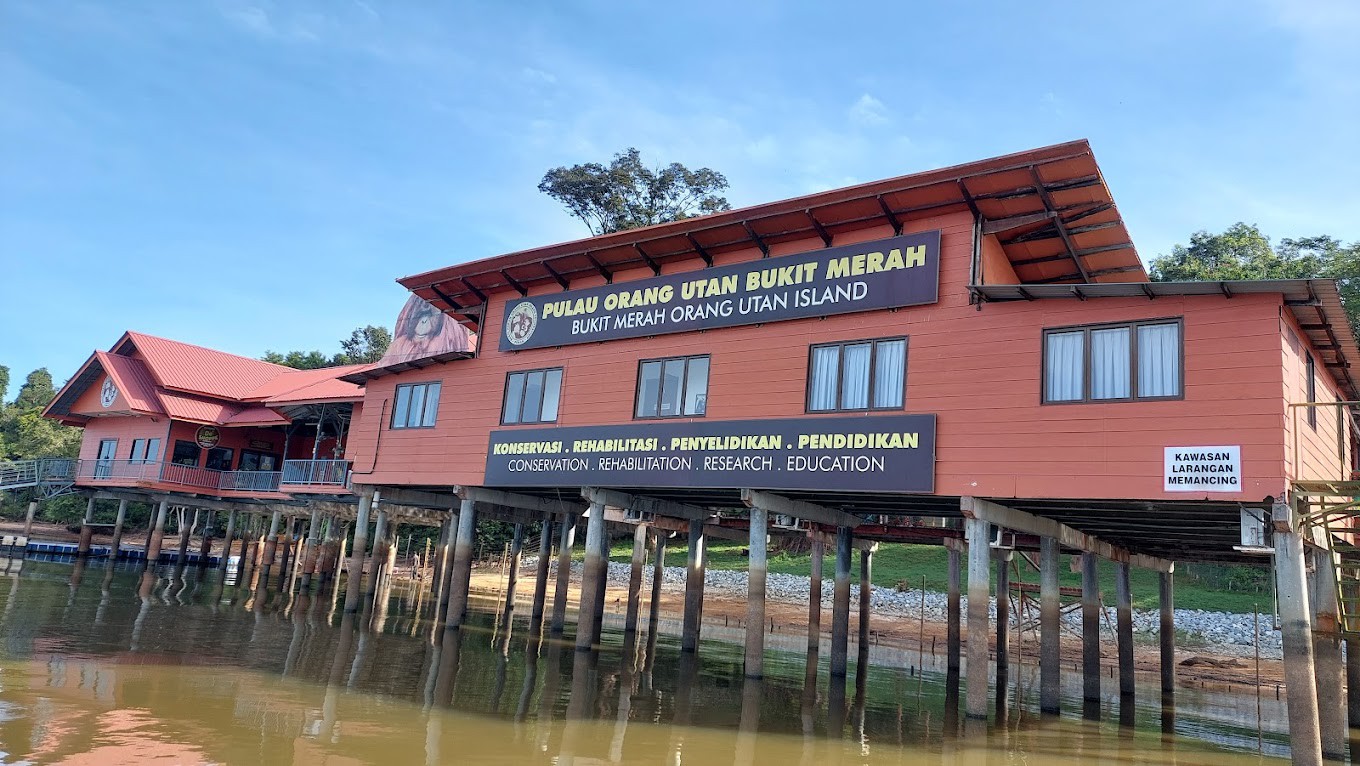 Gambar utama Bukit Merah Orang Utan Island Foundation