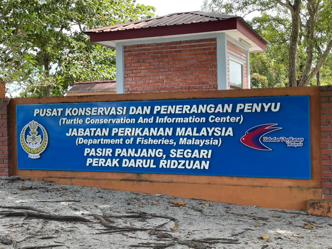 Gambar Pusat Konservasi dan Penerangan Penyu Segari