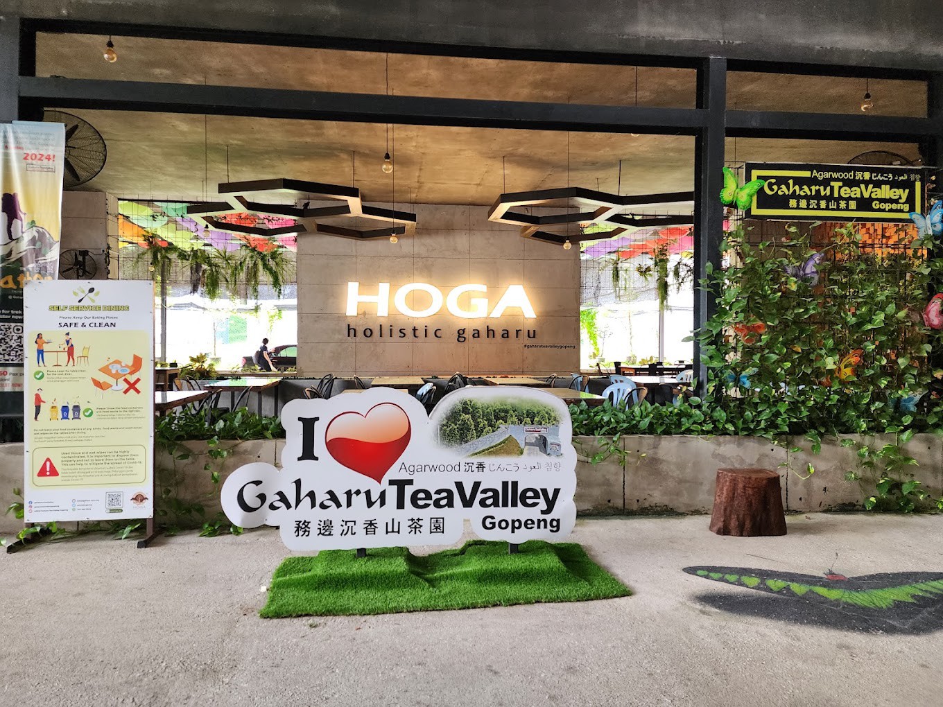 Gambar utama HOGA Gaharu Tea Valley