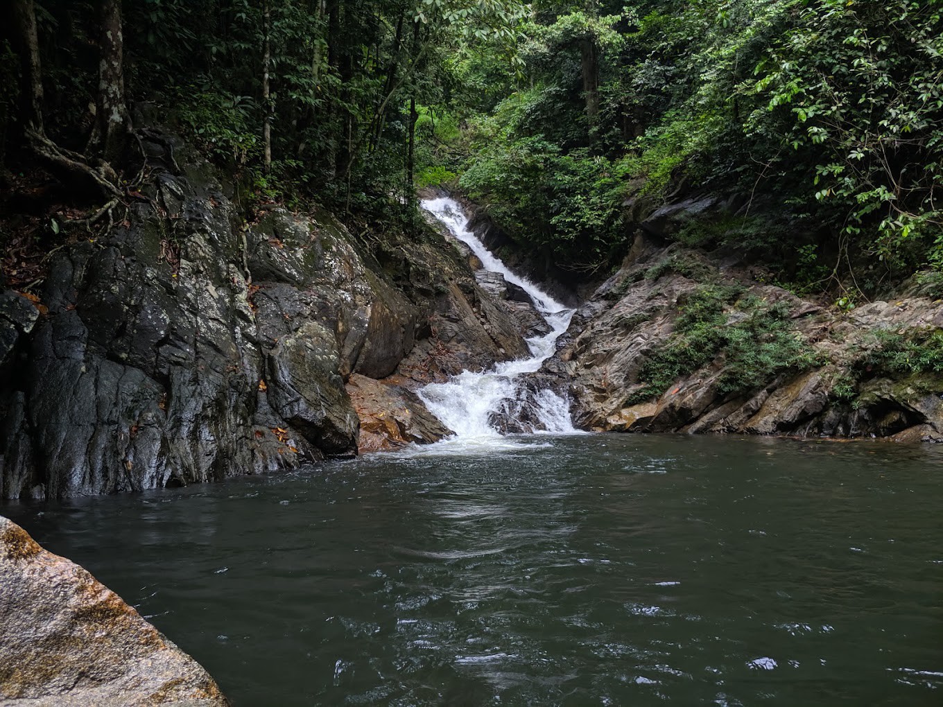 Gambar utama Lata Jeram Linang