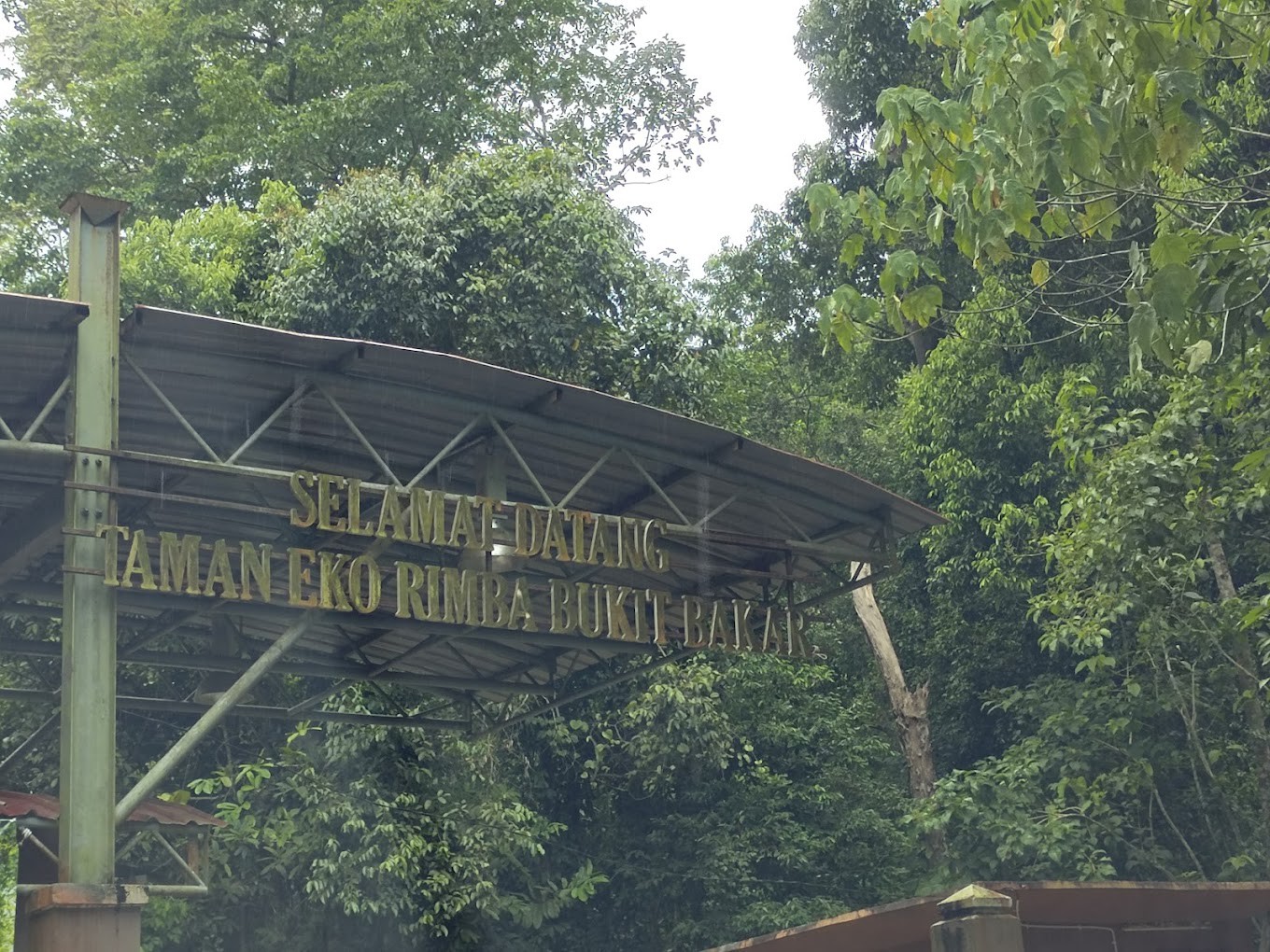 Gambar utama Hutan Lipur Bukit Bakar