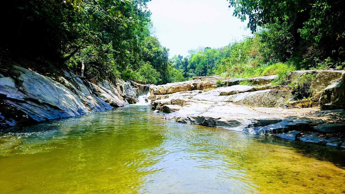 Gambar utama Lata Janggut