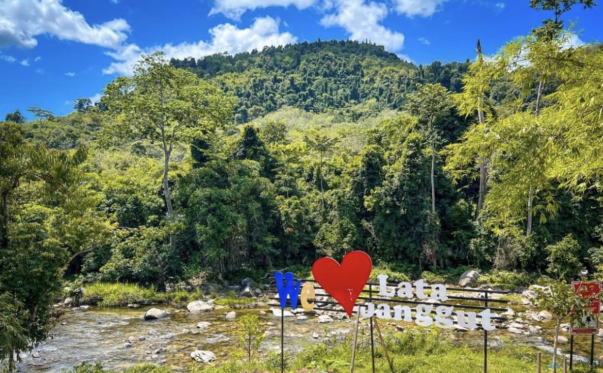 Gambar Lata Janggut