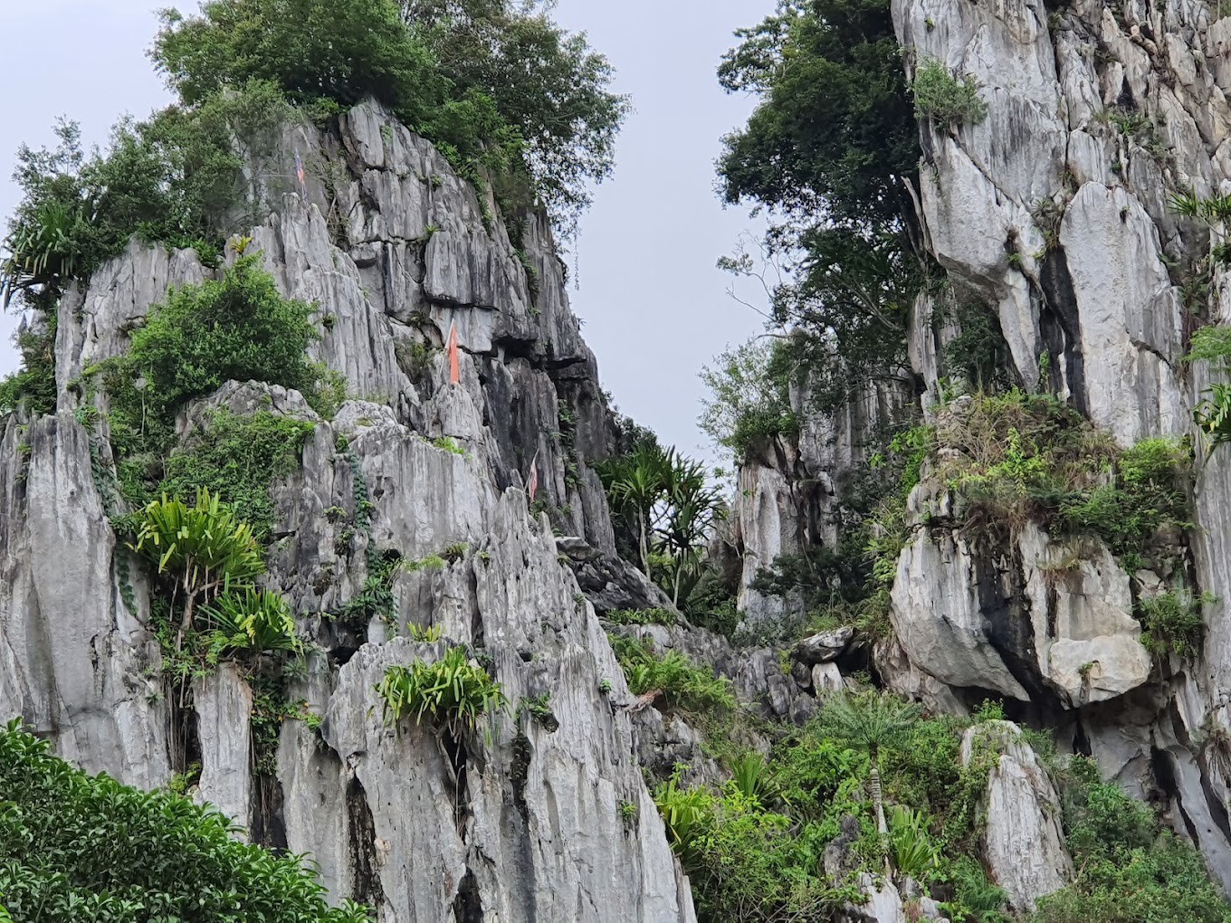 Gambar utama Gua Chiku 2