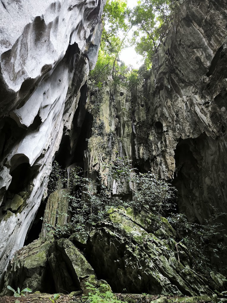 Gambar utama Muse Ecopark