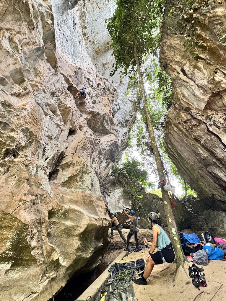Gambar utama Taman Etnobotani KESEDAR