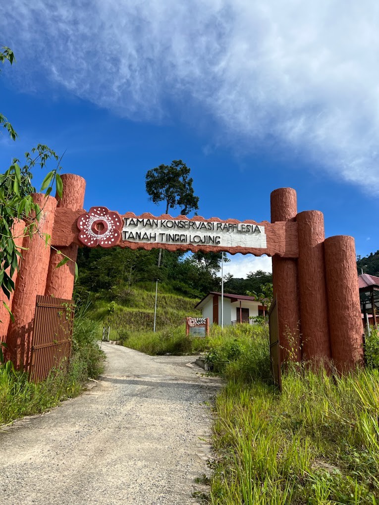 Gambar Taman Konservasi Rafflesia Tanah Tinggi Lojing