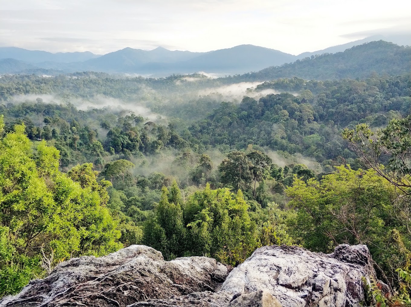 Gambar Jujukan Sedimen Bukit Chondong