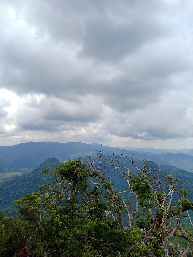 Gambar utama Bukit Pelarit