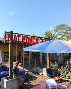 Gambar Nat Pokok Getah