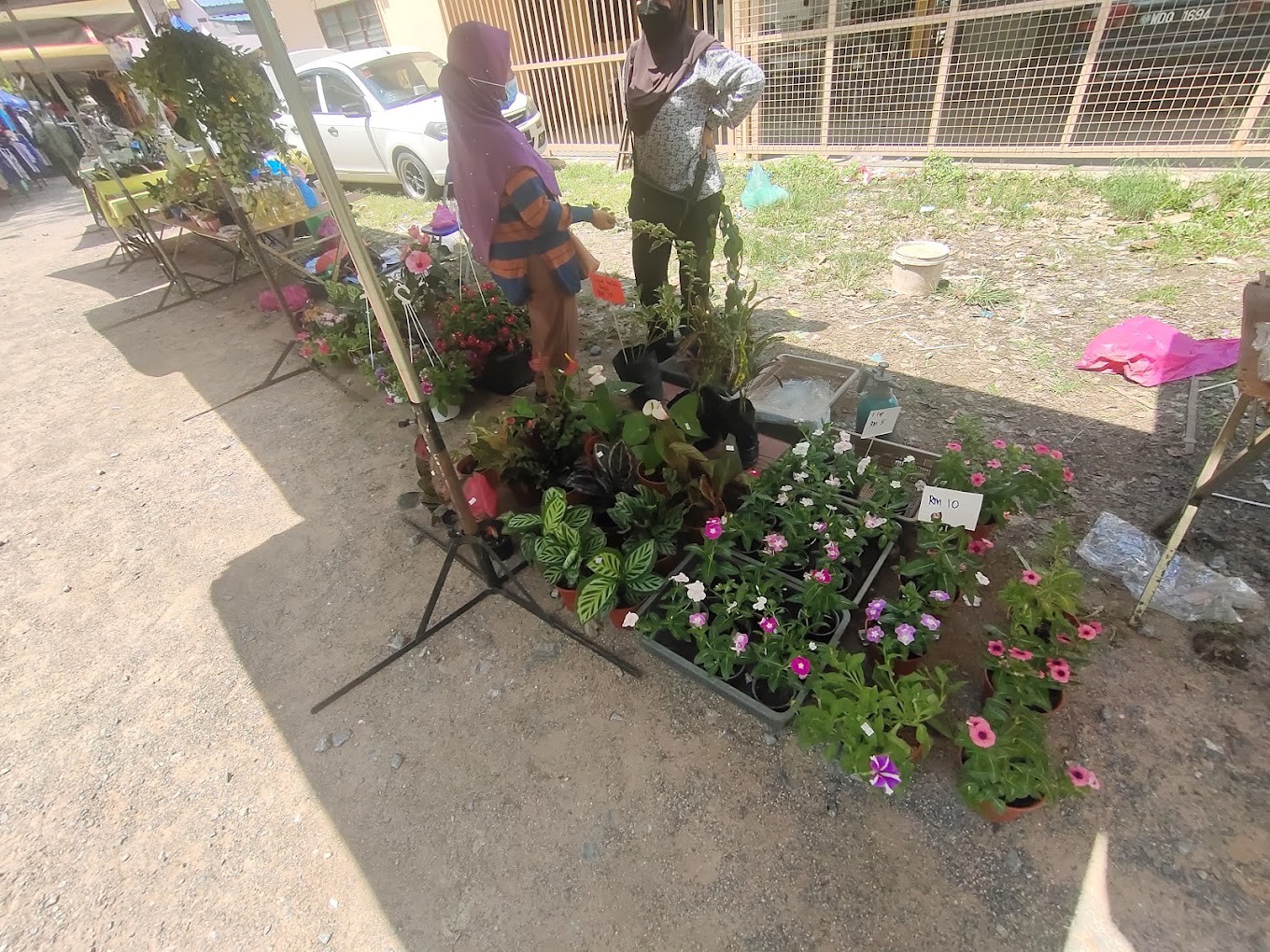 Gambar utama Nat Pokok Getah