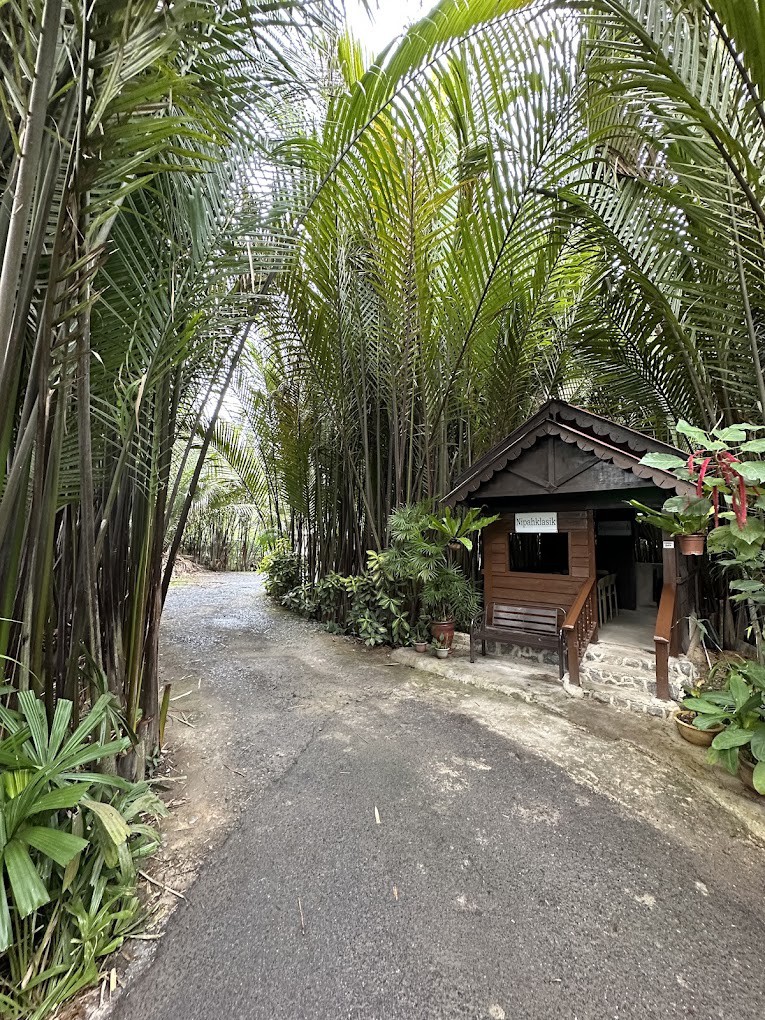 Gambar utama Nipah Klasik
