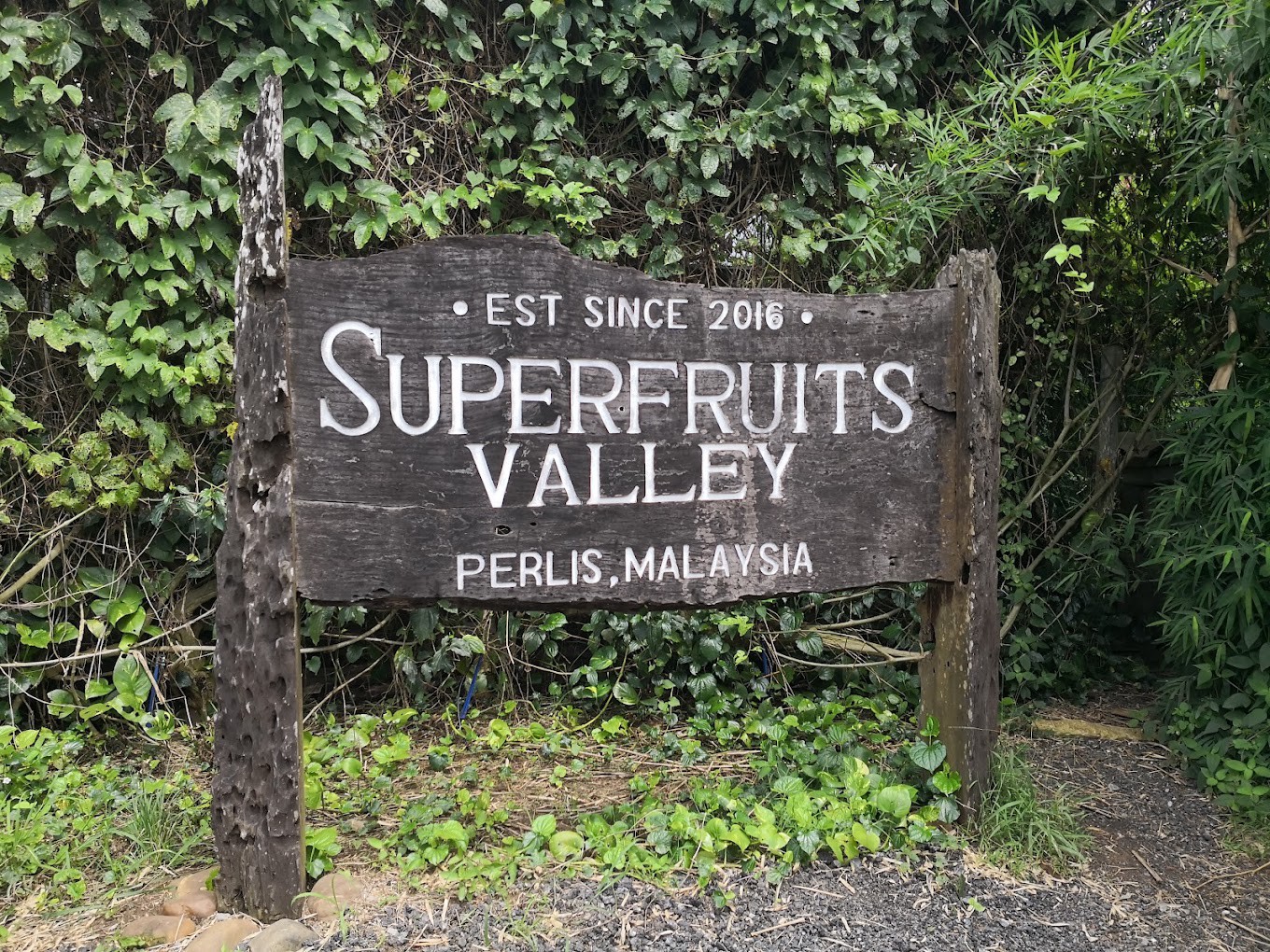 Gambar Superfruits Valley