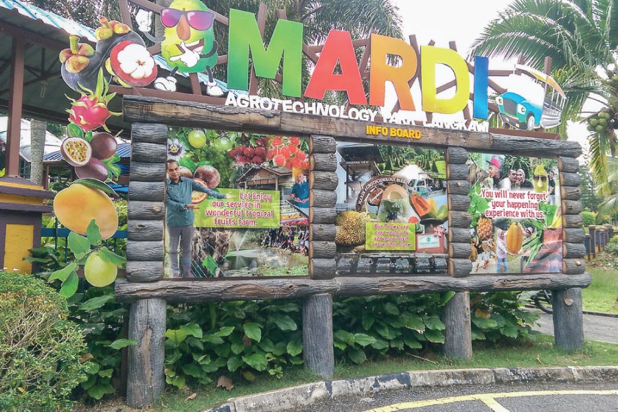 Gambar Taman Agroteknologi MARDI Langkawi
