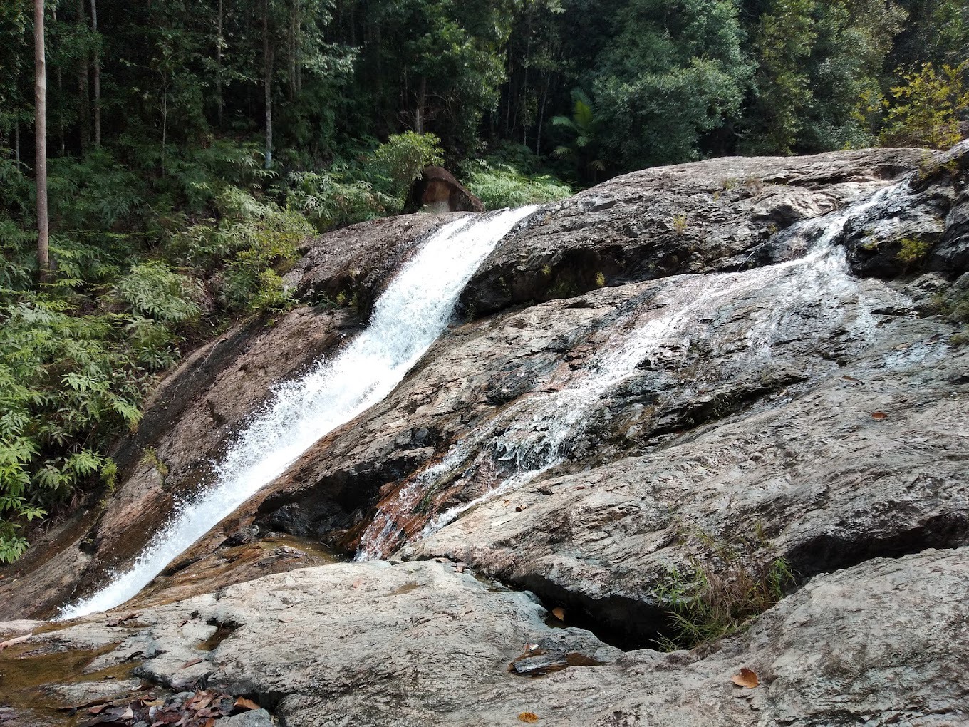Gambar Taman Eko Rimba Jerangkang