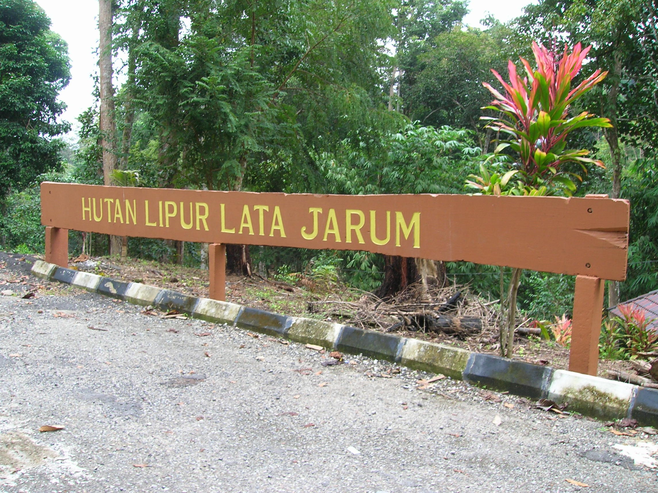 Gambar Taman Eko Rimba Lata Jarum
