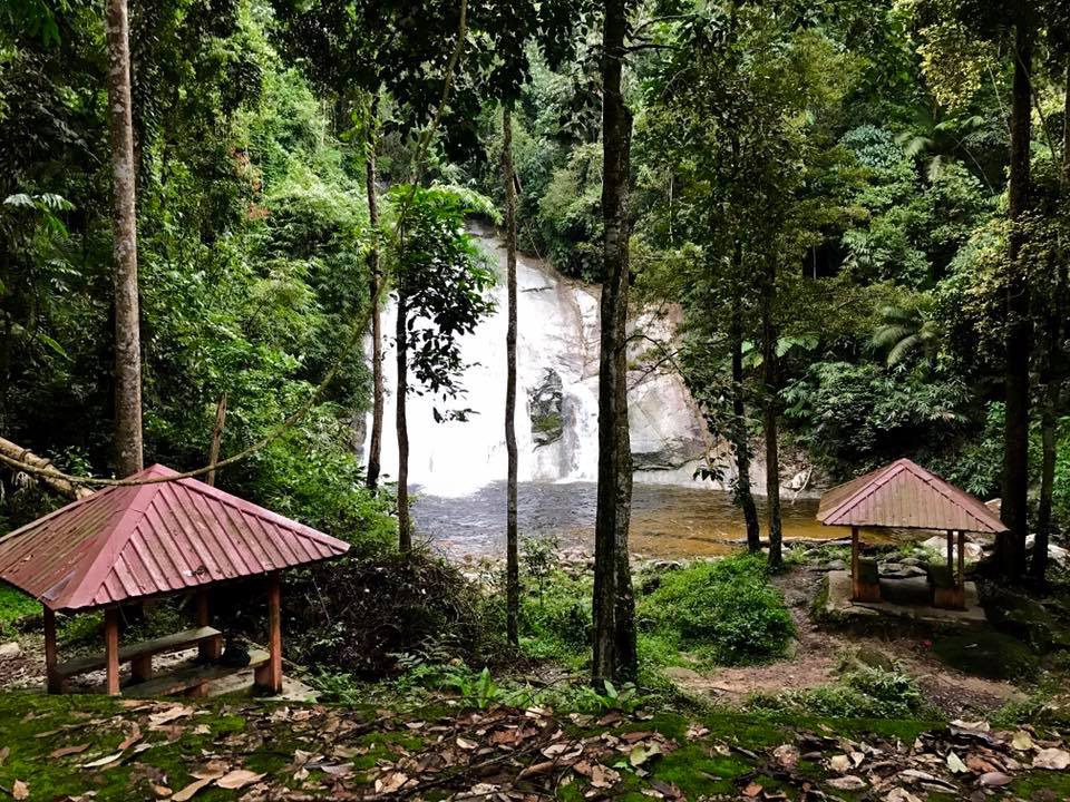 Gambar Taman Eko Rimba Lata Berembun