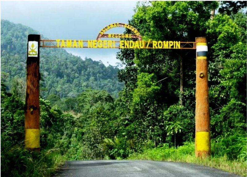 Gambar Taman Negeri Endau-Rompin Pahang