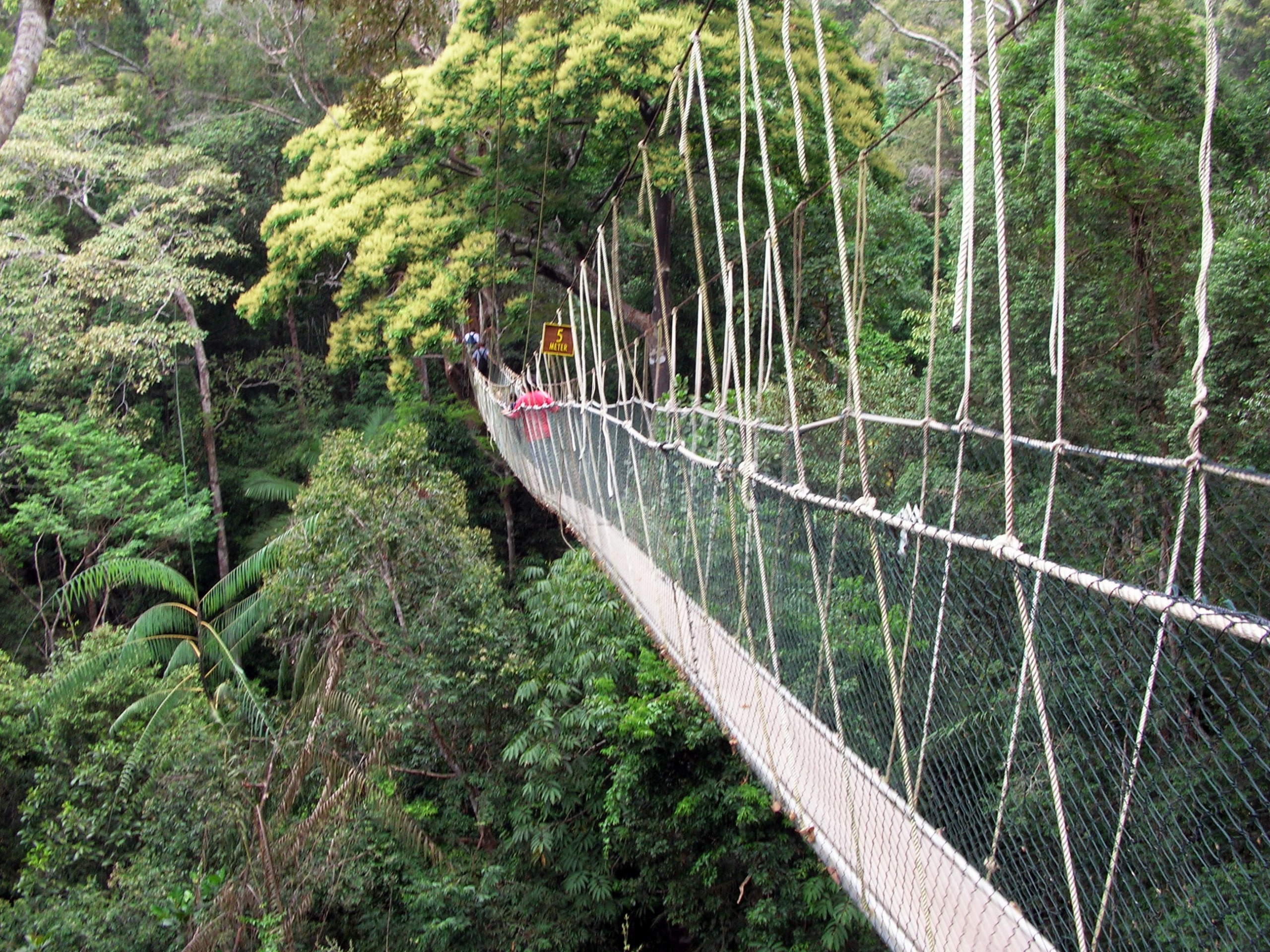Gambar Taman Negara Pahang Kuala Tahan
