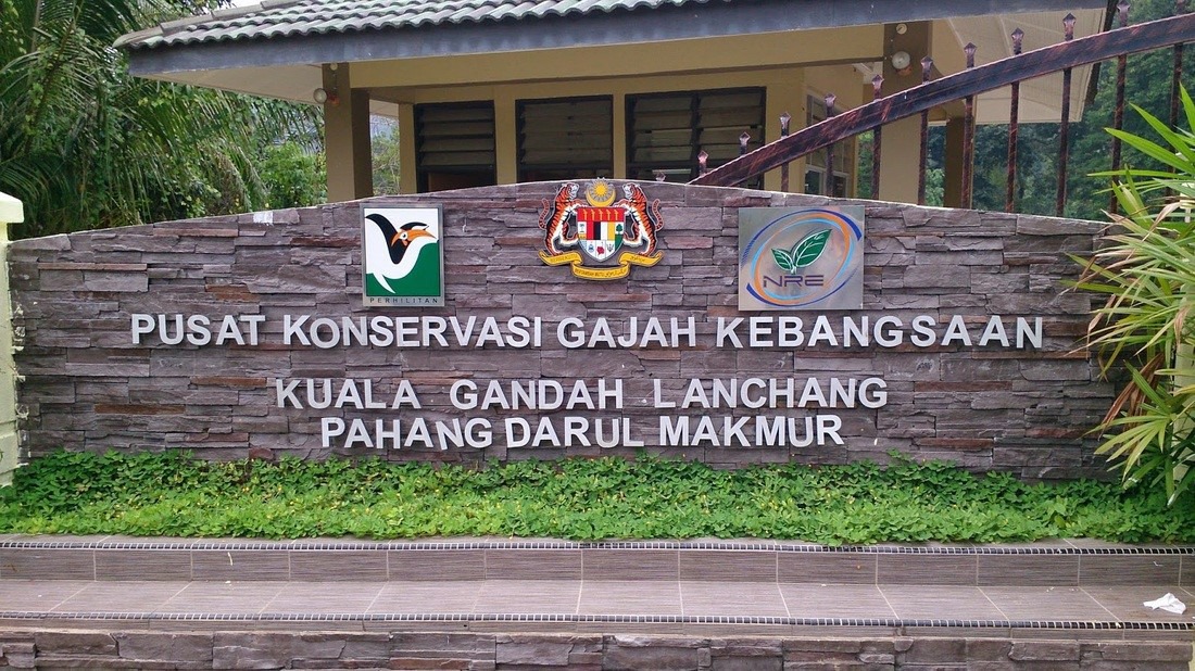 Gambar Pusat Konservasi Gajah Kebangsaan Kuala Gandah