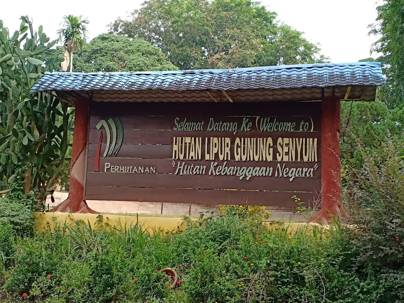 Gambar Gunung Senyum Recreational Forest